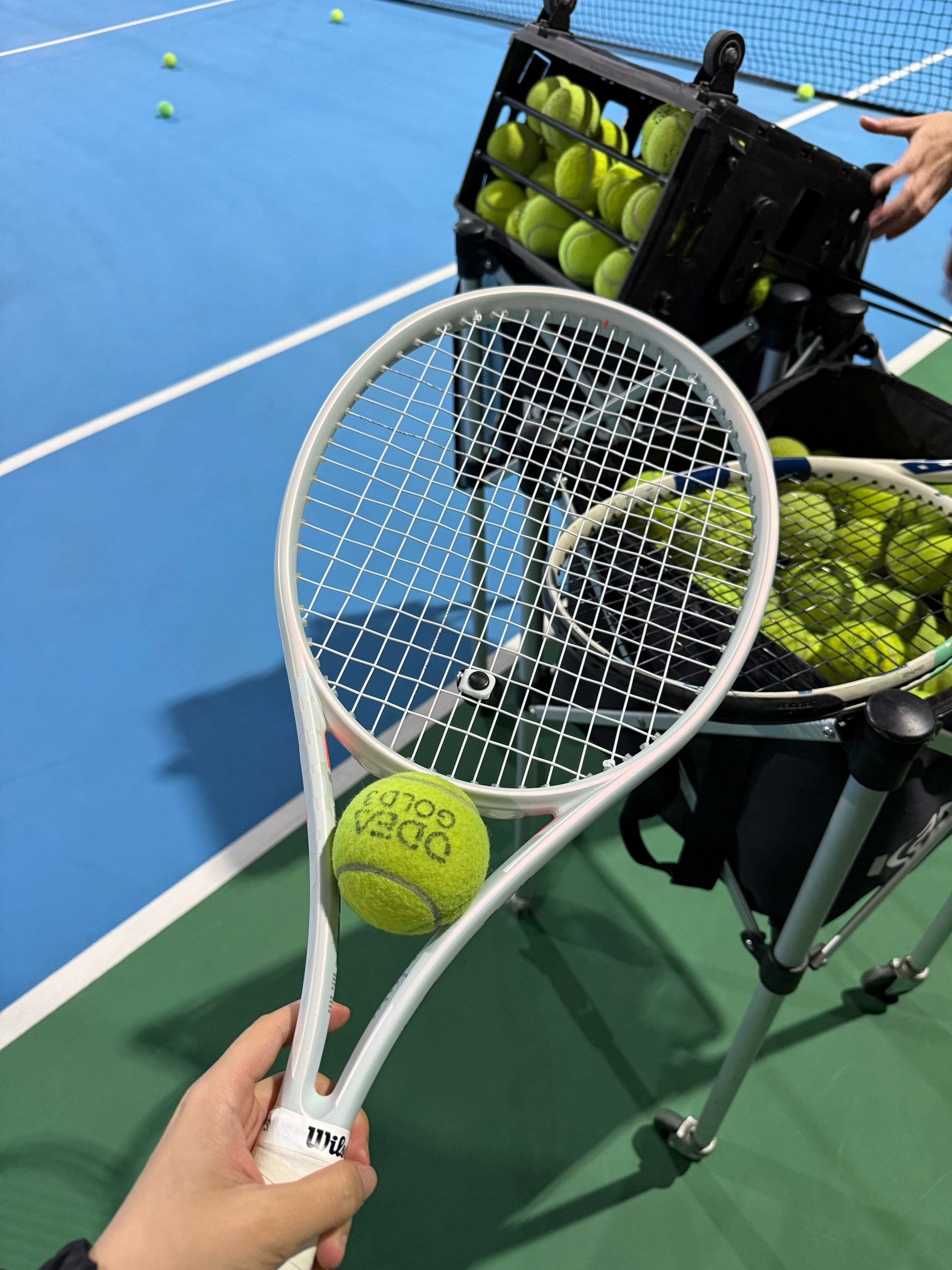 在主场比赛 在主场比赛