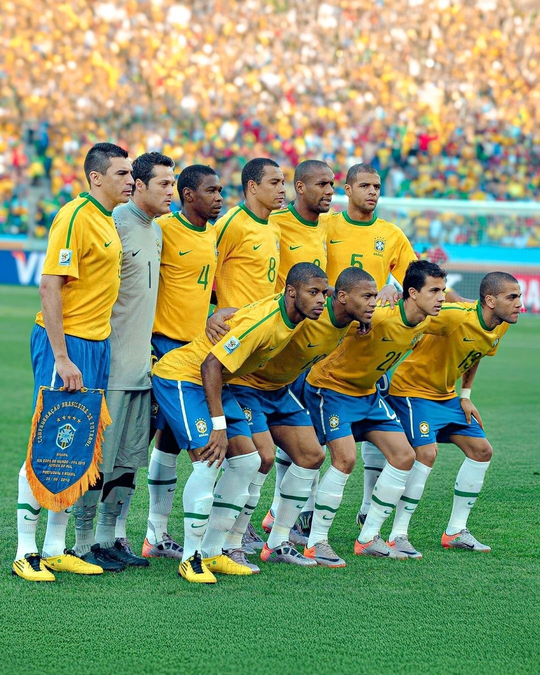 明显的分化 明显的分化